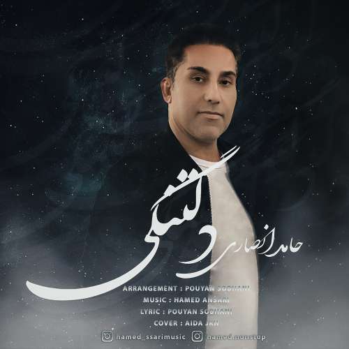 حامد انصاری دلتنگی